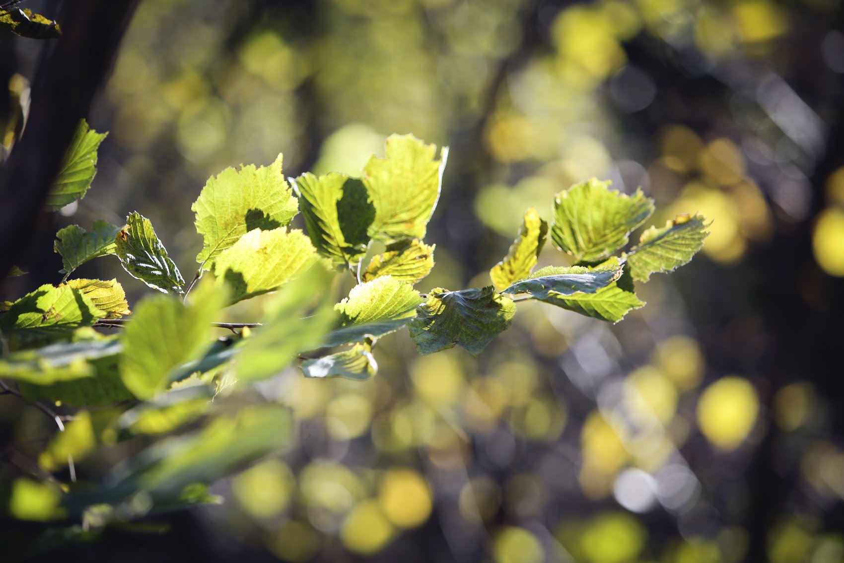 Italie newspot bloc tlc jannovakphotography 3423