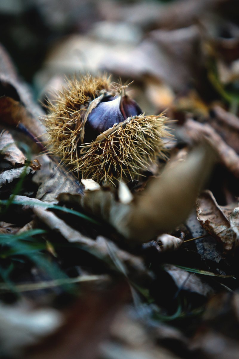 Italie newspot bloc tlc jannovakphotography 3480