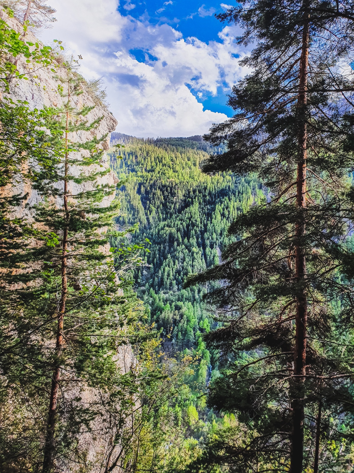 06052020 20200506 183614