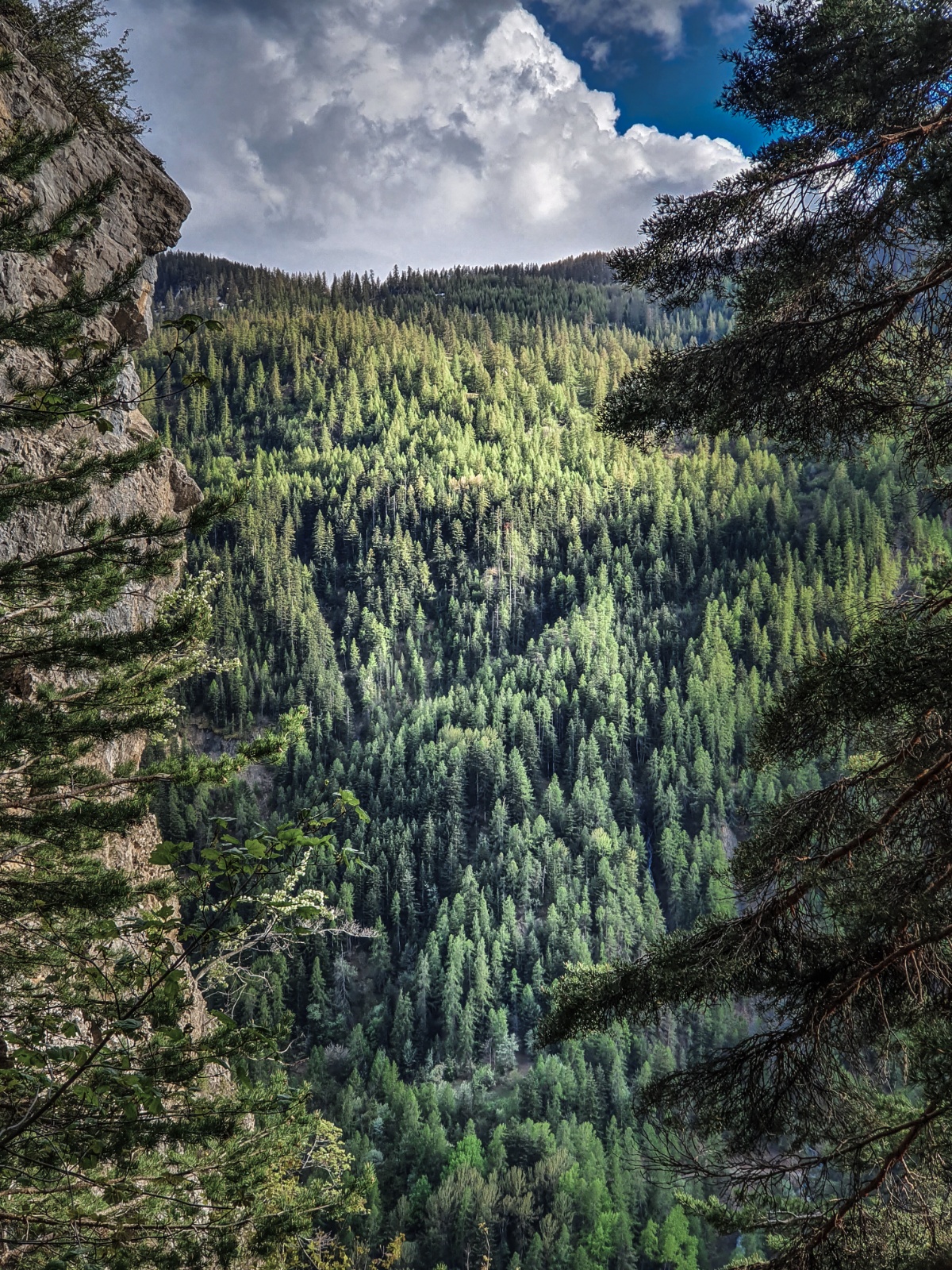 06052020 20200506 183621